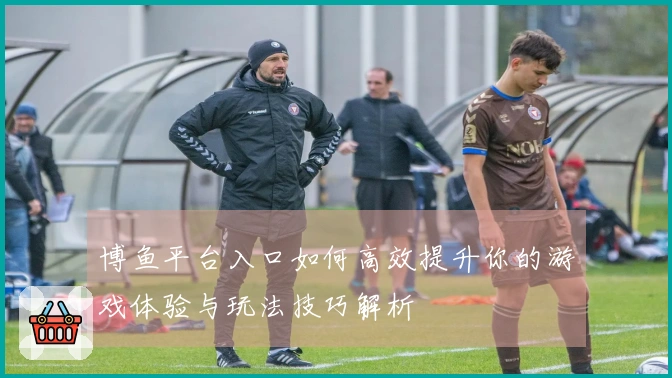 博鱼平台入口如何高效提升你的游戏体验与玩法技巧解析