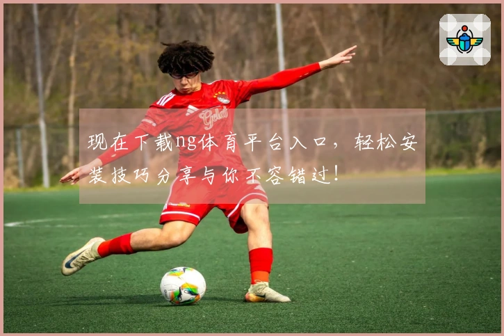 现在下载ng体育平台入口，轻松安装技巧分享与你不容错过！