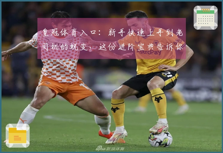 皇冠体育入口：新手快速上手到老司机的蜕变，这份进阶宝典告诉你关键一步