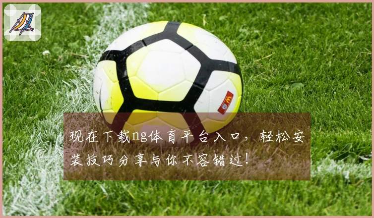 现在下载ng体育平台入口，轻松安装技巧分享与你不容错过！