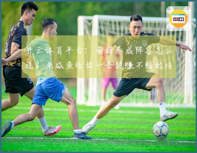 开云体育平台：萌新养成阵容怎么选？老咸鱼给你一条稳赚不赔的培养路线