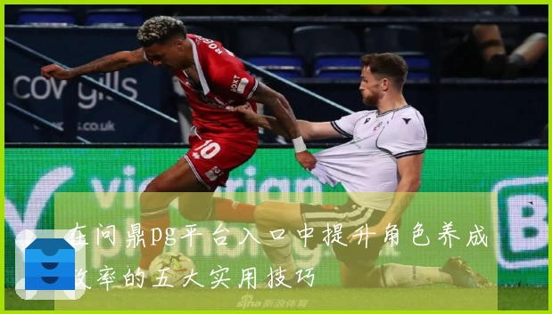 在问鼎pg平台入口中提升角色养成效率的五大实用技巧