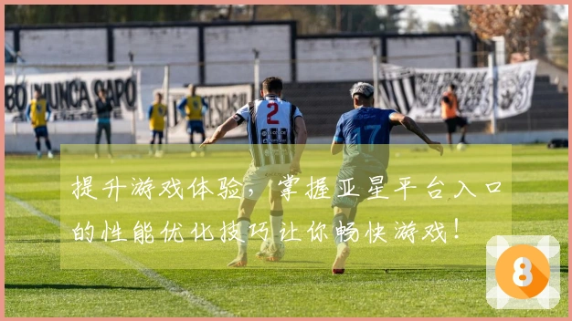 提升游戏体验，掌握亚星平台入口的性能优化技巧让你畅快游戏！